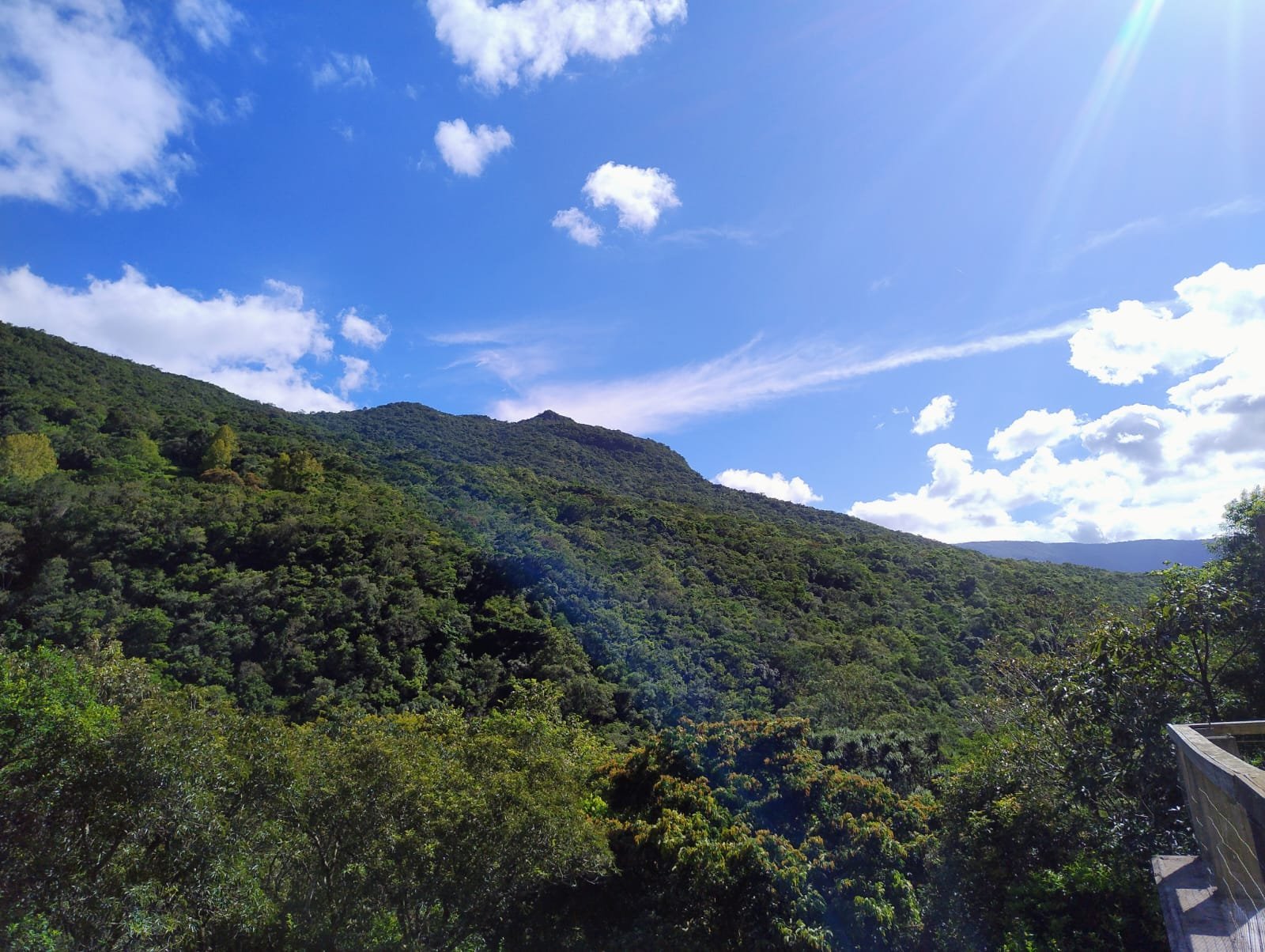 CHÁCARA COM 31ha COM SOBRADO, JK ANDAR DE BAIXO, SALA FITNESS, RIACHO, ARVORES FRUTÍFERAS E  HORTA. — foto 3