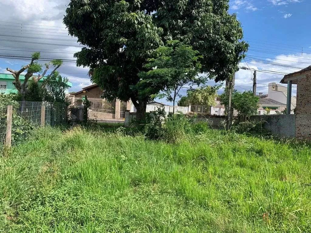 TERRENO 11X50 EM LOCALIZAÇÃO NOBRE — foto 3